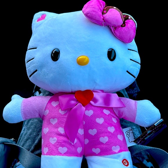 Hello Kitty Accessories - HELLO KITTY GRETTER!! brand new
